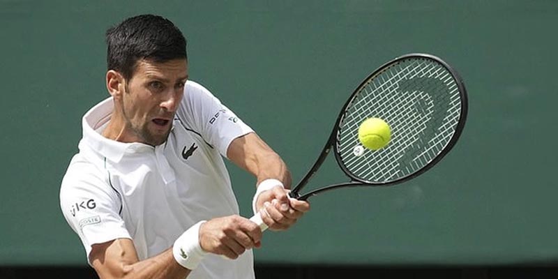 Cá cược tennis - Cược vui nhận thưởng siêu hấp dẫn